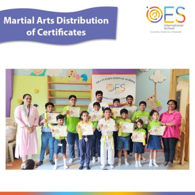 Martial Arts. Certificate Distribution